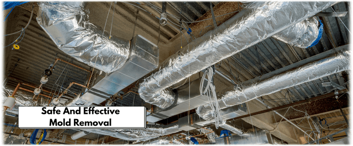 Air Duct Mold Removal in Wauconda IL