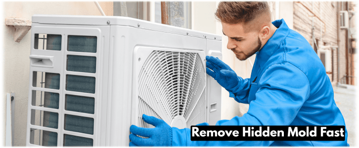 HVAC Mold Removal Wauconda IL